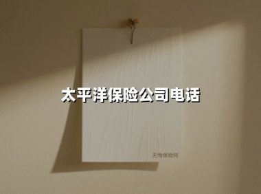 太平洋保险公司电话95500背后的故事:一部24小时守护你的“金融急救专线”