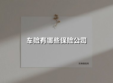 车险有哪些保险公司？2025年市场格局与投保趋势透视