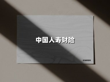 中国人寿财险：数字转型与社会担当双轮驱动的保险标杆