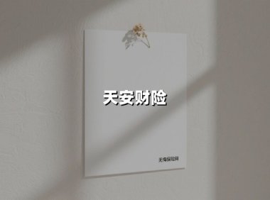 天安财险三十年浮沉录：从民营标杆到风险处置样本