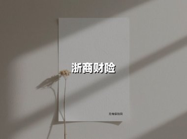 浙商财险增资至50亿背后：浙江本土金融力量的突围与挑战