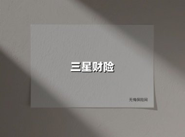 三星财险：一部中国保险业开放的鲜活样本与中端医疗破局战