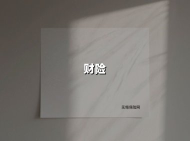 财险市场现分化加速:老牌龙头的攻守道与中小险企的生死劫