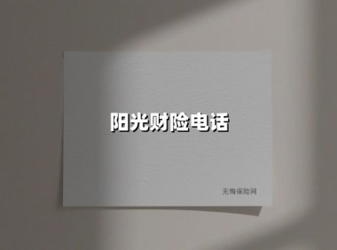阳光财险电话:24小时在线的保障守护者,为何成为用户首选?