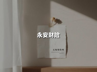 永安财险迎七年首任总经理背后:5000万合同纠纷定音与全国版图扩张