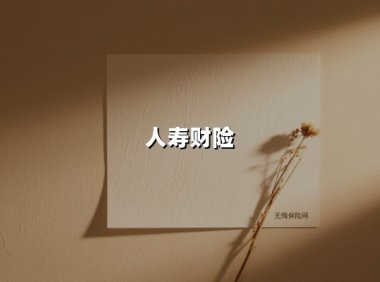 突围与坚守:人寿财险在车险红海市场中的新篇章