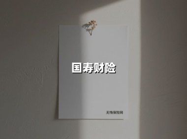 国寿财险:以央企担当织密风险防护网,数字化服务再升级