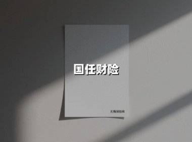 国任财险:用创新产品护航创业者,以战略升级点燃发展引擎