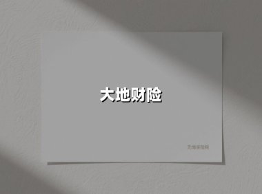 大地财险卷入600万罚单背后:二十年老牌险企的破局之路