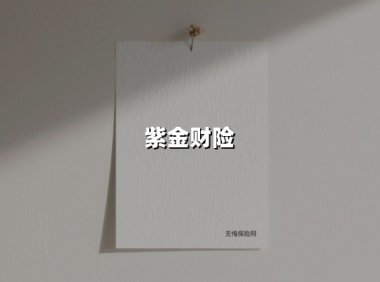 紫金财险撤销监事会背后：一场公司治理与合规能力的双重突围