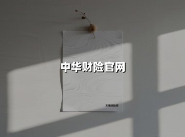 中华财险官网：38年国有险企的创新跃迁与民生守望