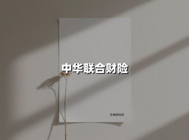 中华联合财险：用38年深耕织就的保险民生网