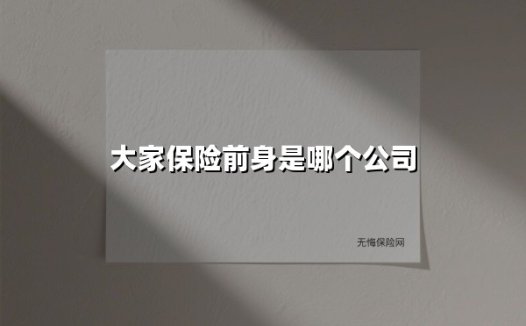从安邦到大家保险：一场国企化改革背后的涅槃重生