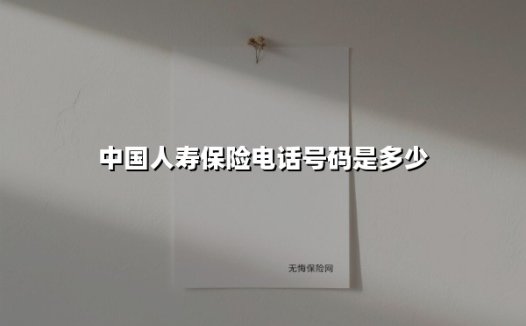 中国人寿客服电话全解析：95519背后的专业服务体系