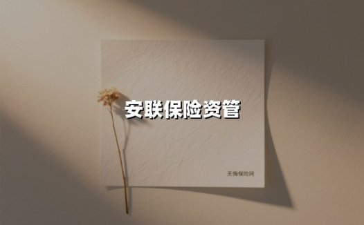 安联保险资管：在不确定市场中构建确定性增长的新范式