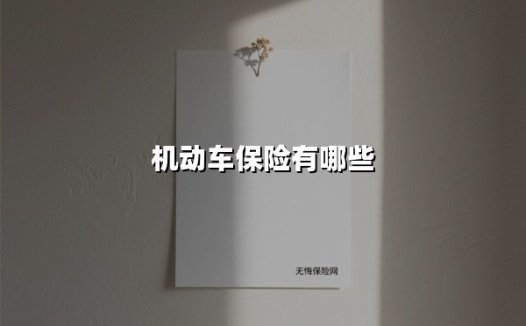 2025车主必看：机动车保险全解析与选购指南