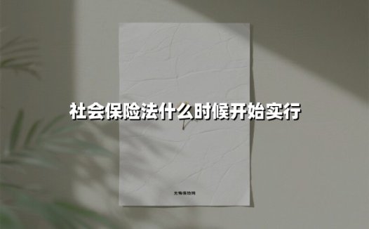 社会保险法实施十三年：法治基石下的民生保障升级之路