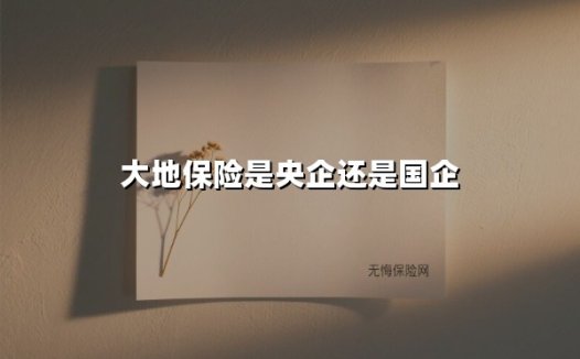 大地保险是央企还是国企？揭开企业性质与行业地位的真相
