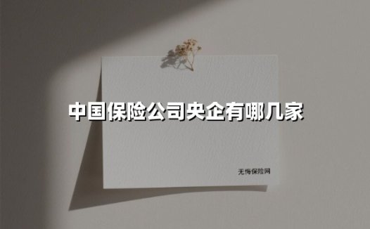 中国保险业「国家队」揭秘:四大央企的传承与担当