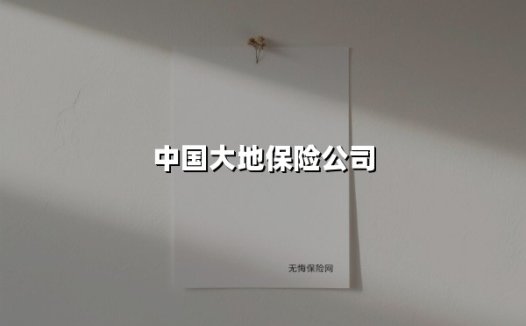 以责任为基 用温暖护航——中国大地保险守护美好生活的创新实践