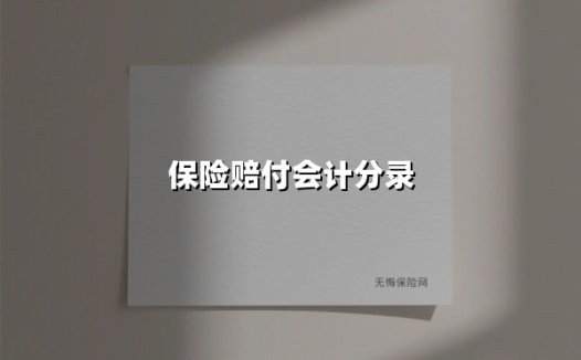 2025年最新保险赔付会计分录实务指南:四种场景解析与风险防控