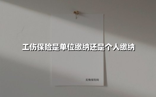 工伤保险究竟由单位缴纳还是个人承担？一篇说透责任归属与企业风控的指南