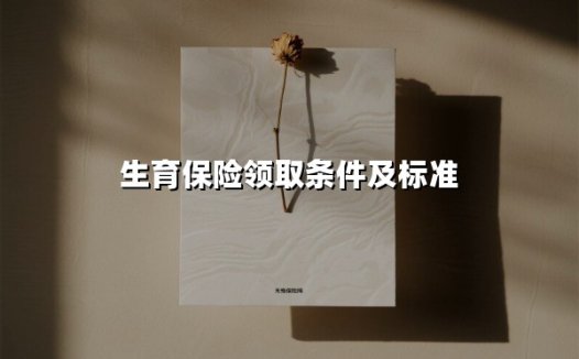 生育保险全攻略：手把手教你搞懂2025年最新领取条件与津贴标准