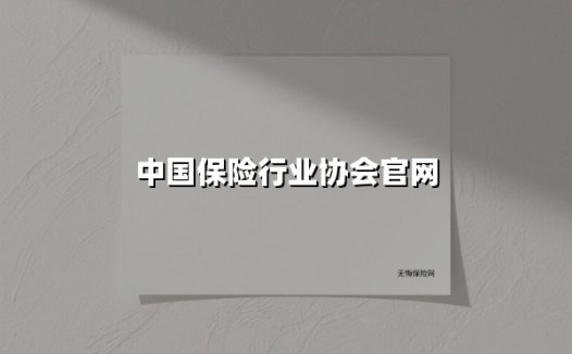 中国保险行业协会：构建新时代风险防御体系的实践与创新