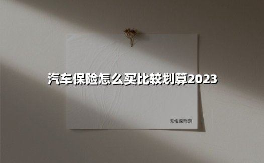 2023年省钱攻略:汽车保险这样买,每年立省上千元!
