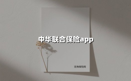 2025保险人的效率革命：中华联合「共享保」APP如何重构展业生态？