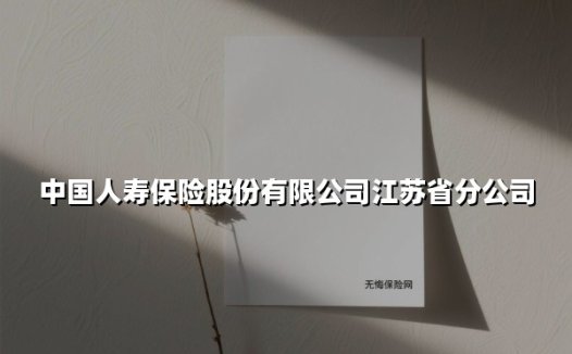 江苏国寿：以金融画笔勾勒民生保障新时代画卷