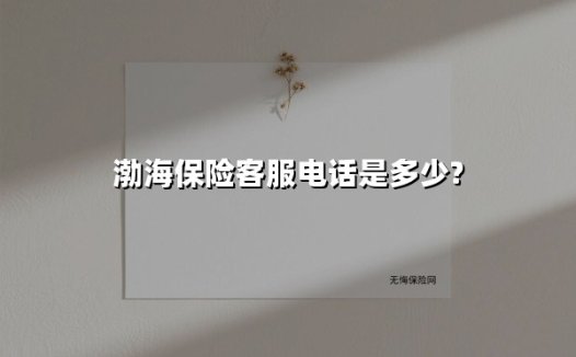 渤海保险客服电话全攻略：快速咨询、报案、投保的权威指南