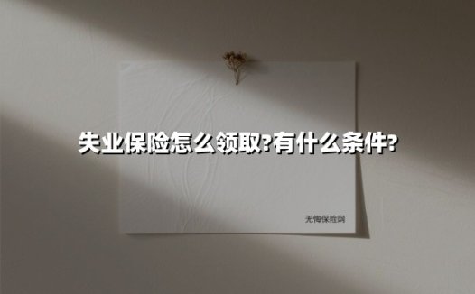 失业保险怎么领?最新政策+实操指南(2025版)