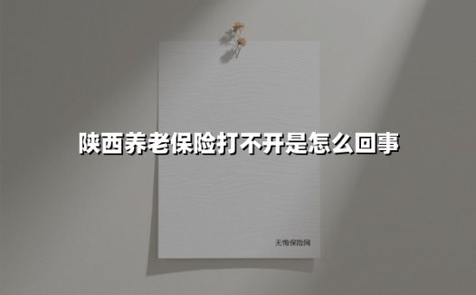 陕西养老保险APP打不开的常见问题及解决方案