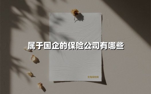 中国国企保险公司全解析：实力与责任并存的行业标杆