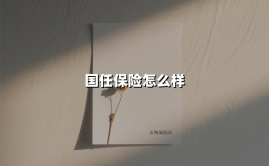国任保险深度评测:这家国资背景的险企究竟值不值得选?