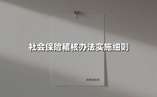 2025年社会保险稽核新规:五维透视实施路径与操作指南