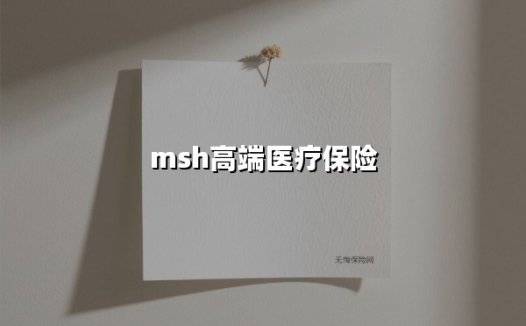 全维度解析：2024升级后的MSH高端医疗险，如何为精英人群构筑健康防线？