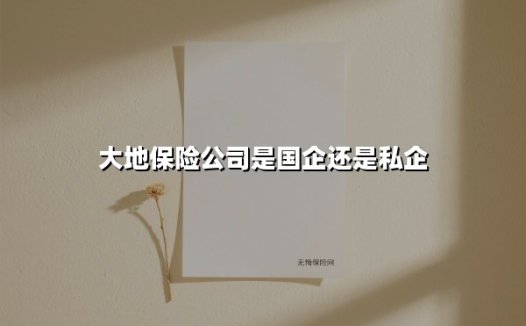 大地保险公司是国企还是私企(2025最新权威解答)