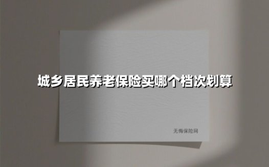 城乡居民养老保险买哪个档次划算(2025最新权威解答)
