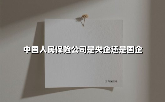 中国人民保险公司是央企还是国企(2025最新权威解答)