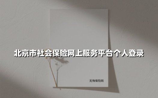 北京市社会保险网上服务平台个人登录操作全解析：最新功能与服务速览
