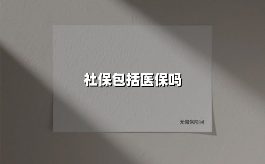 社保到底包不包含医保？一篇文章说透两者的区别与联系