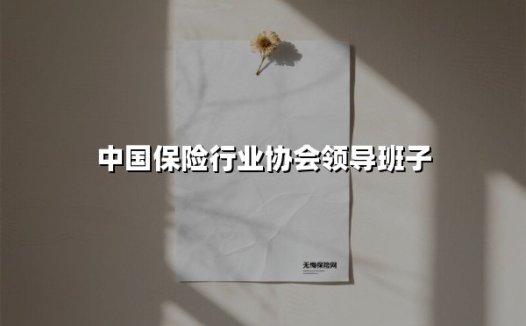 中国保险行业协会领导班子：引领行业高质量发展的核心力量