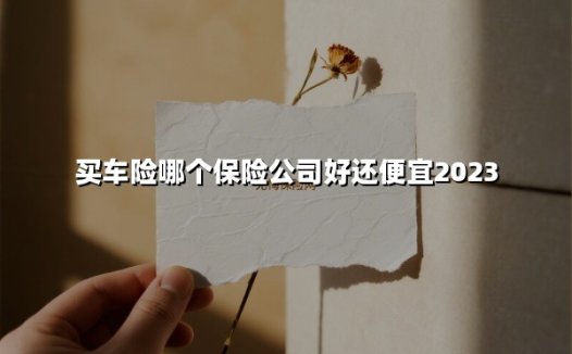 买车险选哪家?2023年高性价比车险公司推荐指南