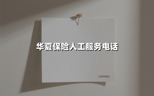 24小时守候:用华夏银行人工服务电话开启高效服务新体验
