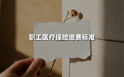2025年职工医疗保险缴费标准全解析：一文读懂你的权益与用法