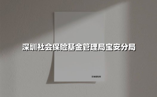 让社保服务更暖心｜深圳社保宝安分局多措并举提升服务能级