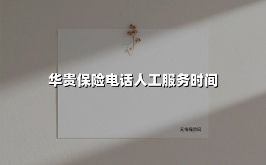华贵保险电话服务24小时待命？最新人工服务时间指南（2025版）