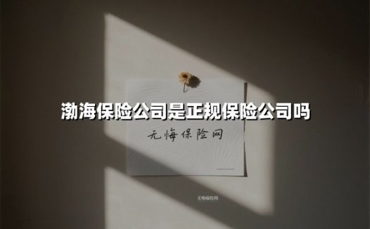 渤海保险公司是正规保险公司吗？揭秘资质、服务与市场表现